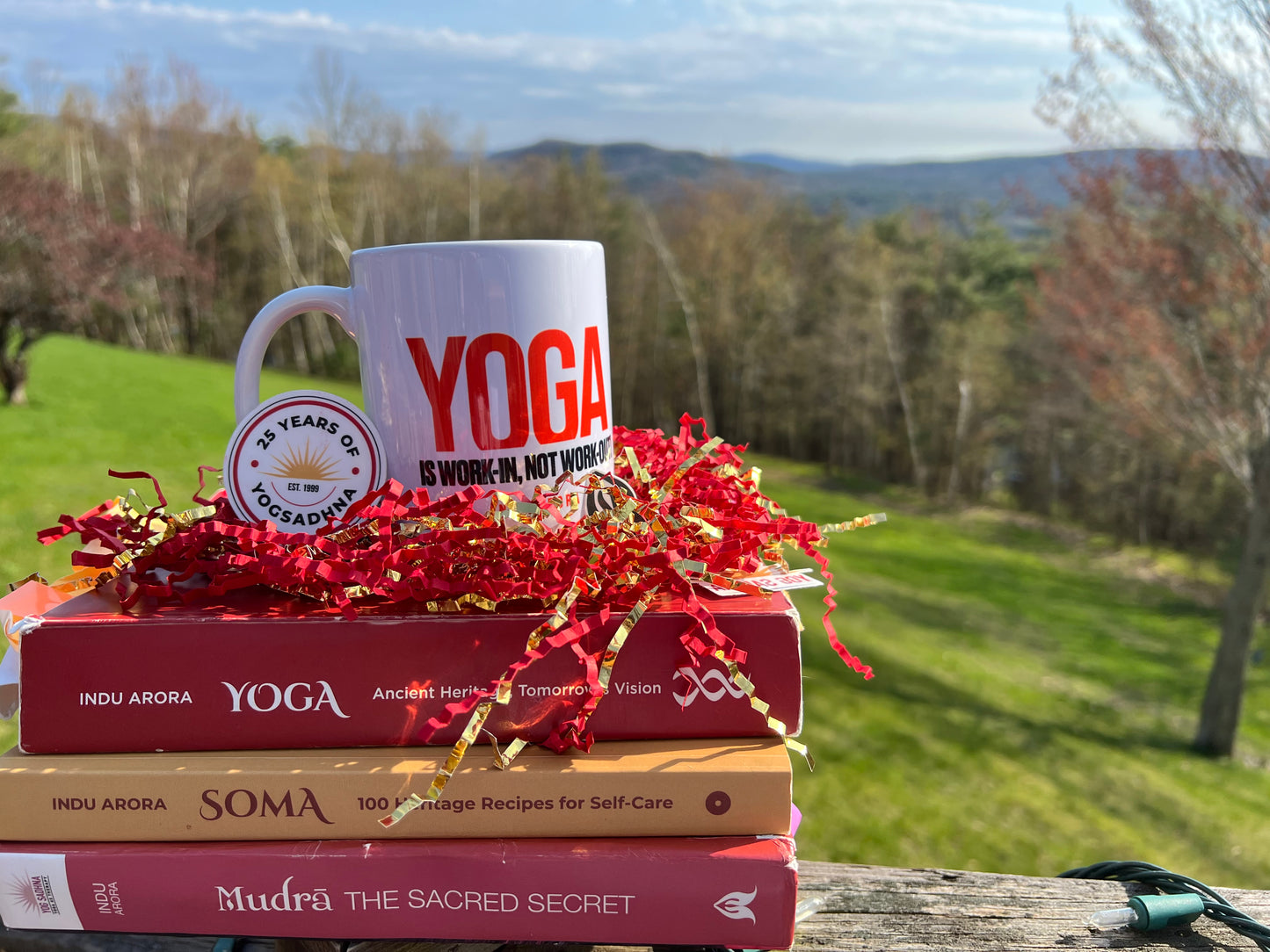 Yoga is Work-In Mug