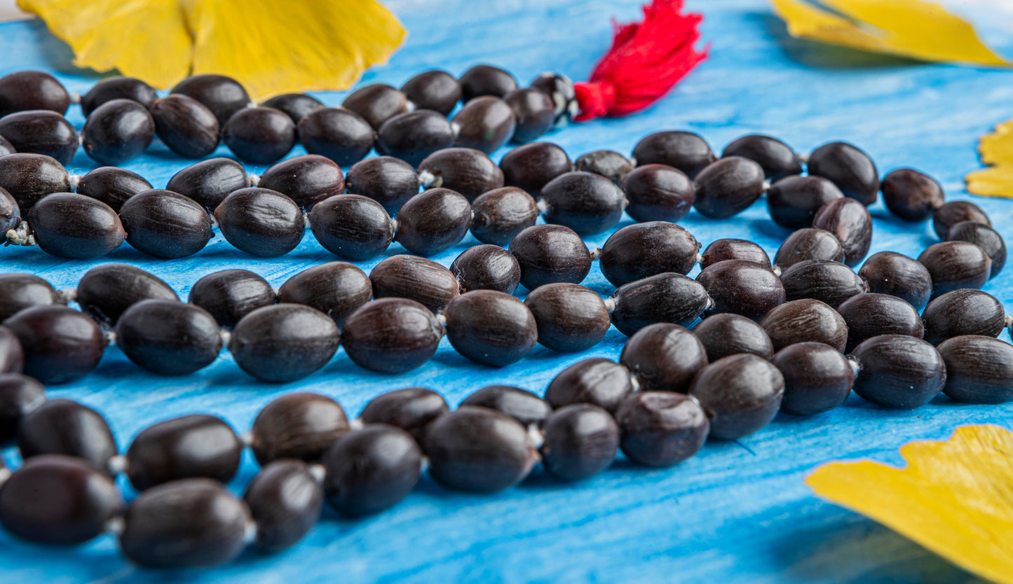 Lotus Seed Japa Mala